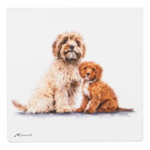 Puppy Love Cavoodle Ceramic Coaster