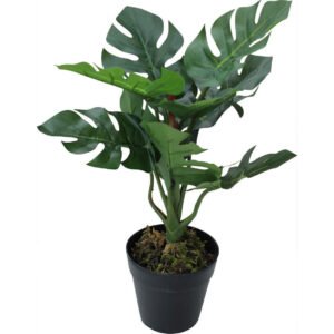 Lavida LD4274-1 Home Decor