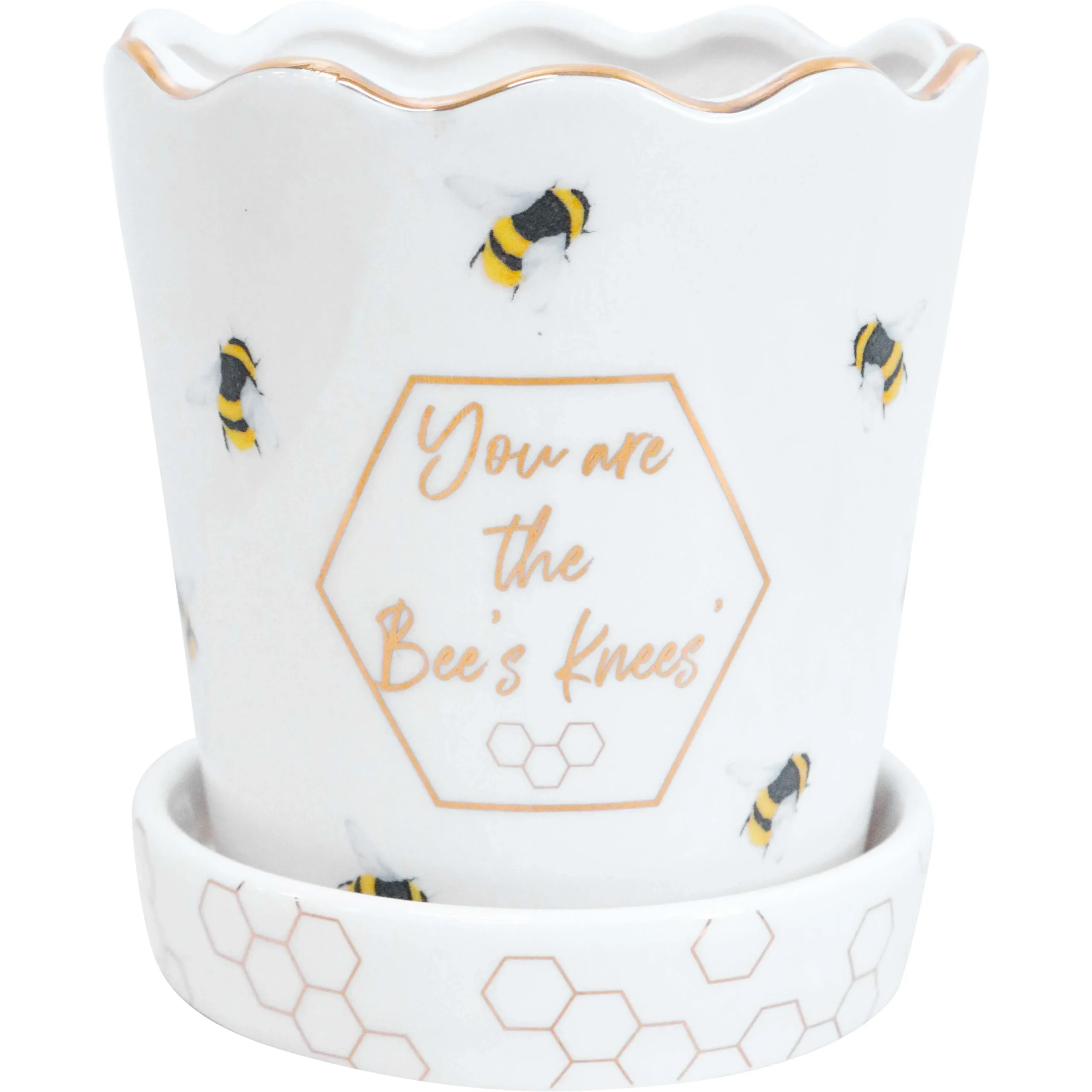 MA5141-1 Planter Bees Knees LaVida